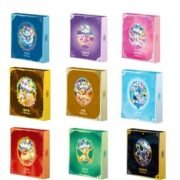Eeveelutions's Sets Gift Box-Random Box